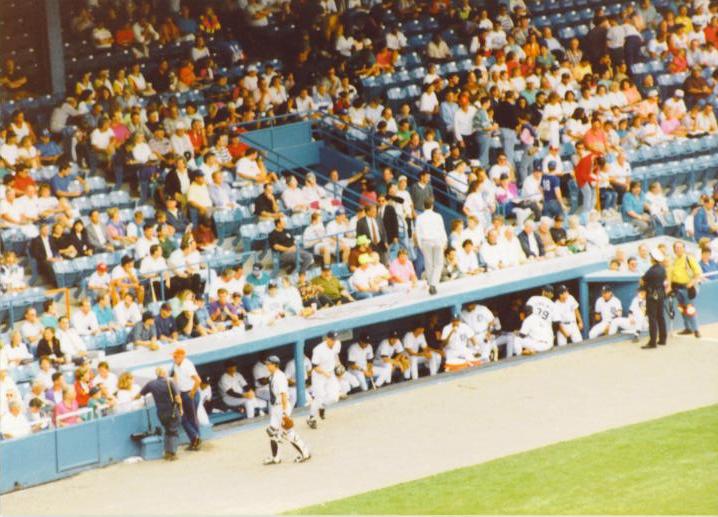 The Tigers dugout - Tiger Stadium